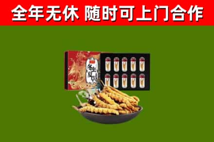喀什地区回收冬虫夏草价格