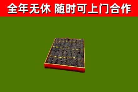 喀什地区回收海参